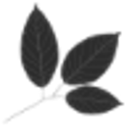 Phyto, Phyto Professional